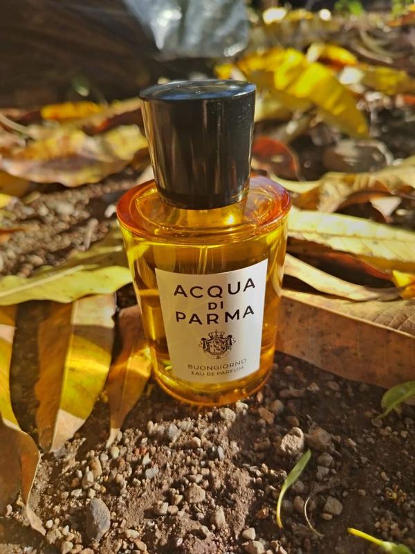 Review Thumbnail Image 1 1212397401