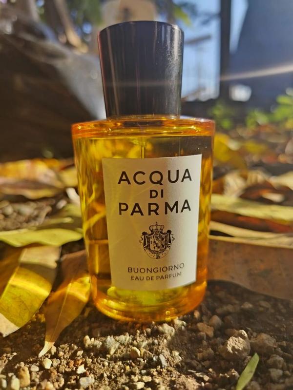 Review Thumbnail Image 0 1212397401