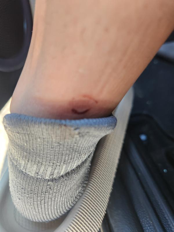 Photo submitted with review of product