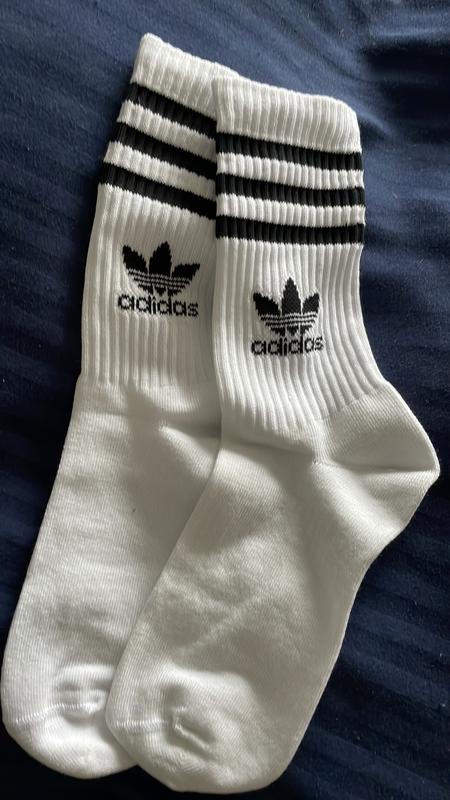 adidas/palaceコラボショーツ M アディダスがPALACEとの最新コラボ！ | warp