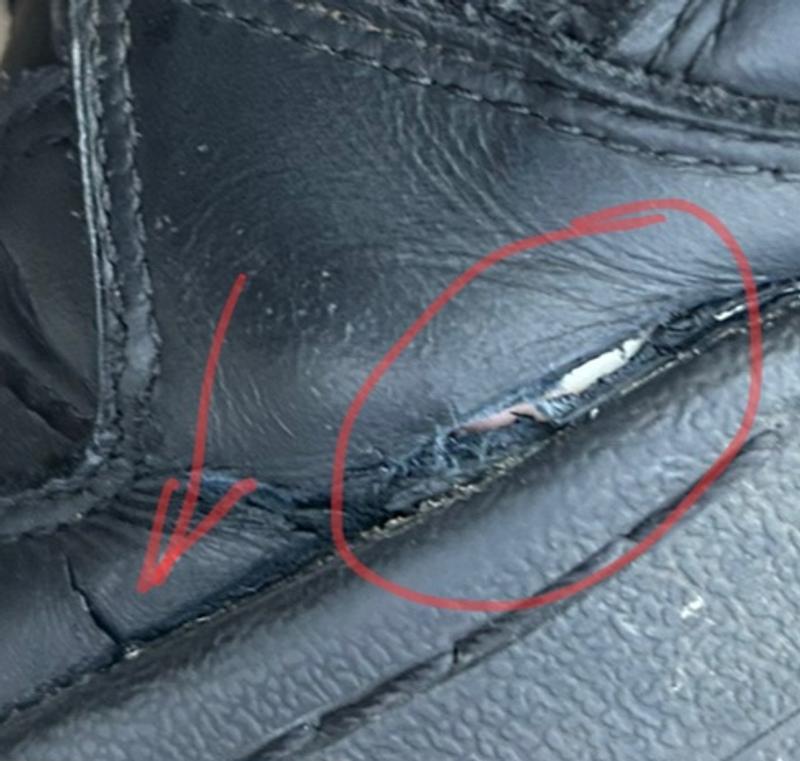 Review Thumbnail Image 0 180067804