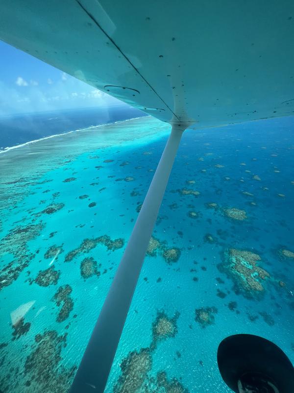 Scenic Flight Over Great Barrier Reef, 40 Minutes - Departs Cairns -  Adrenaline