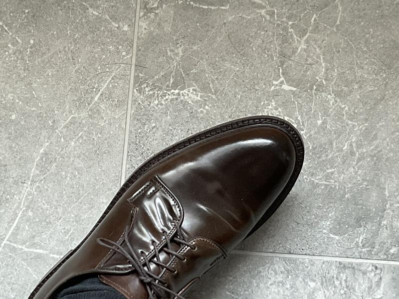 Allen Edmonds Leeds バーガンディー $850 | ALLEN EDMONDS LEEDS 10.5 B PLAIN TOE BLUCHER BURGUNDY SHELL
