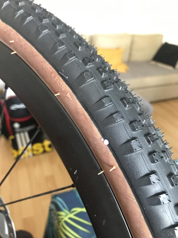 Pneu Gravel WTB Resolute 650b X 42mm - Tubeless TCS - Tan (beige) - Neuf