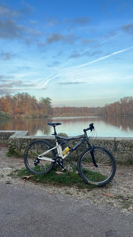 Shimano ALTUS Série Sélecteur Arrière RD-M310 Noir... - Grandado