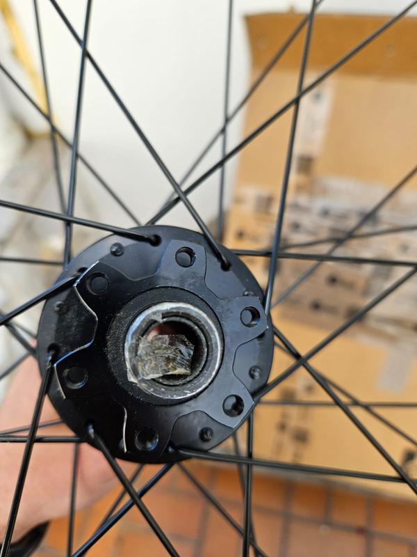 Bontrager Alex MD35 Tubeless Ready 29