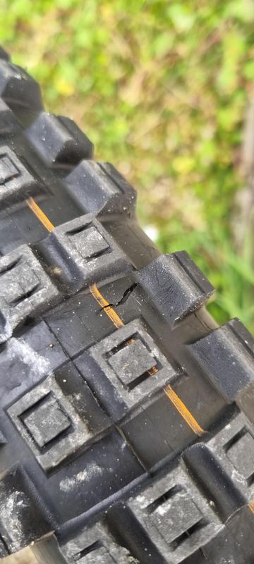 Pneu Schwalbe EddyCurrent Re.HS497 – 29 X 2,60″ (65-622), Pliable, TLE, Addix Soft, Noir, Pour VTT Et Tout-terrain