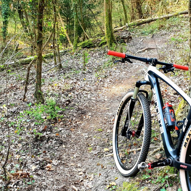 maxxis ikon skinwall 29