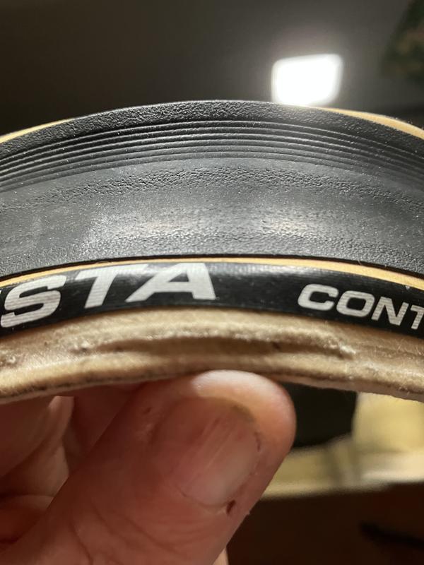 Vittoria Tires Vittoria Pista Control G2.0 Tire - Tubular