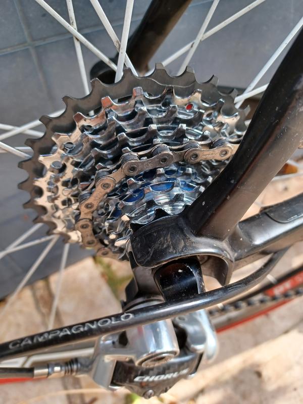 Cassette 10 vitesses adaptable shimano 12-30 dents marque Miche - Pièce