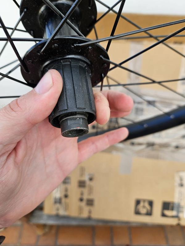 Bontrager Alex MD35 Tubeless Ready 29