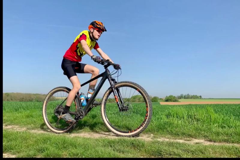 maxxis ardent skinwall 29 exo