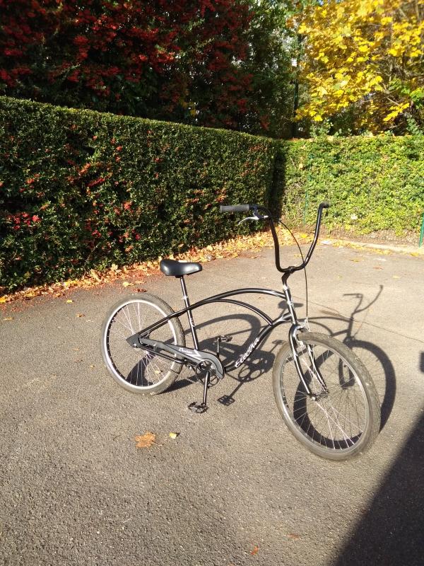gas pocket bike