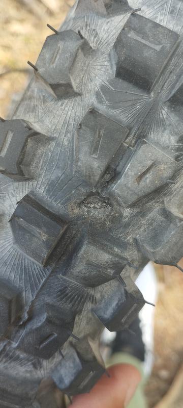 Pneu 29p CONTINENTAL vtt Kryptotal-Ré Enduro E25 2.60 Tubeless Ready noir flancs noirs