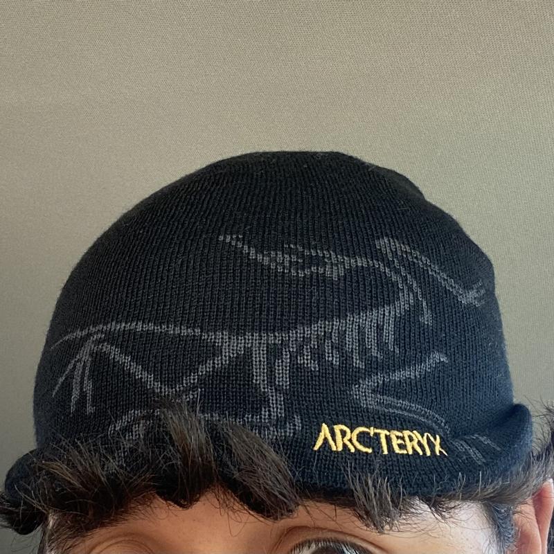 Arc'teryx Bird Head Toque 