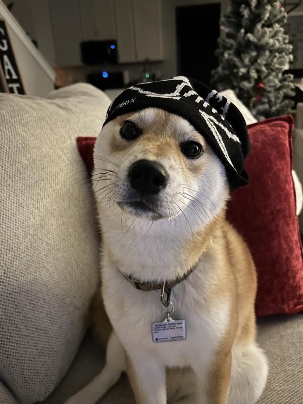 User uploaded product image