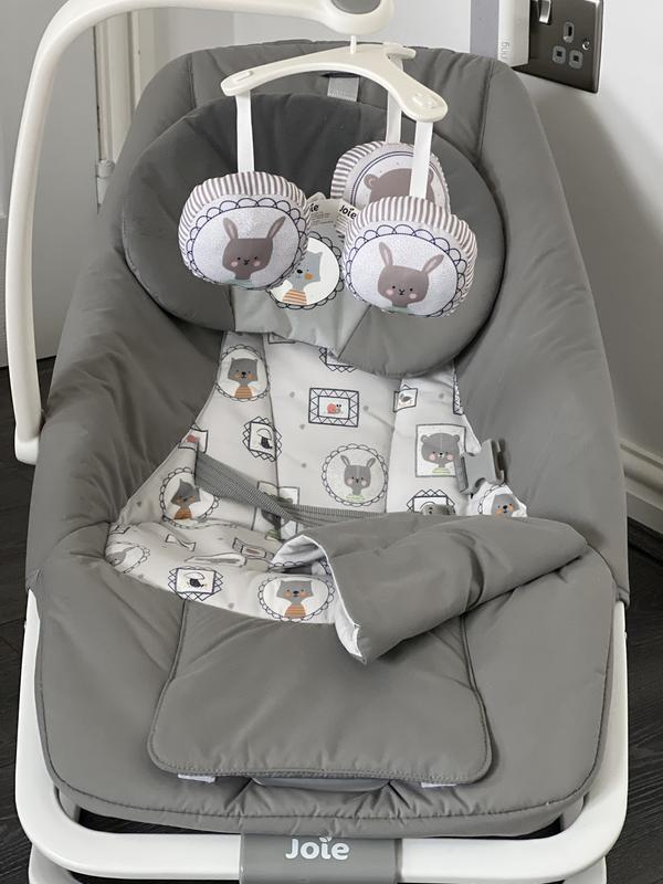 Joie dreamer baby bouncer in hot sale the rain