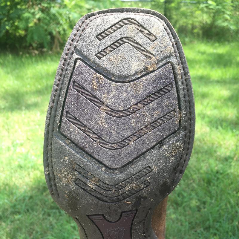 Review Thumbnail Image 3 264307039