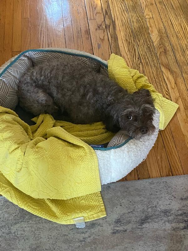 Review Thumbnail Image 0 350106876