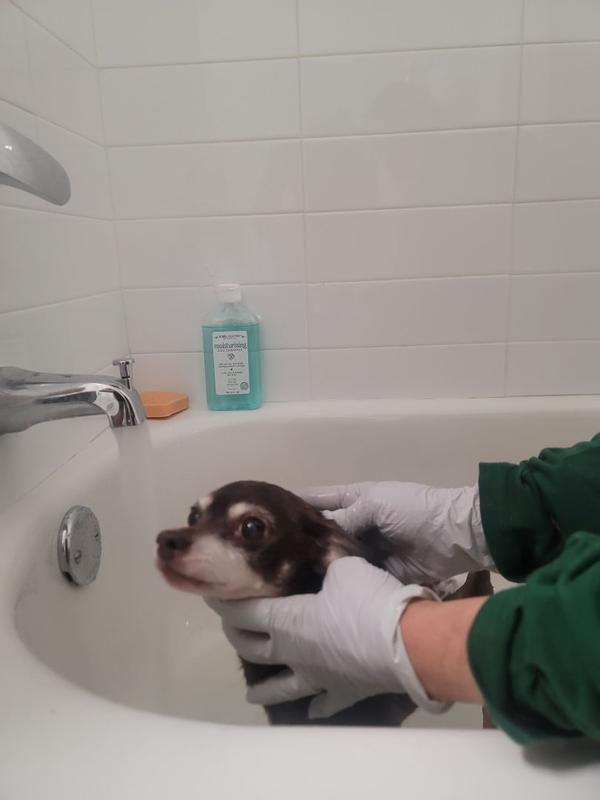 Review Thumbnail Image 0 350753018