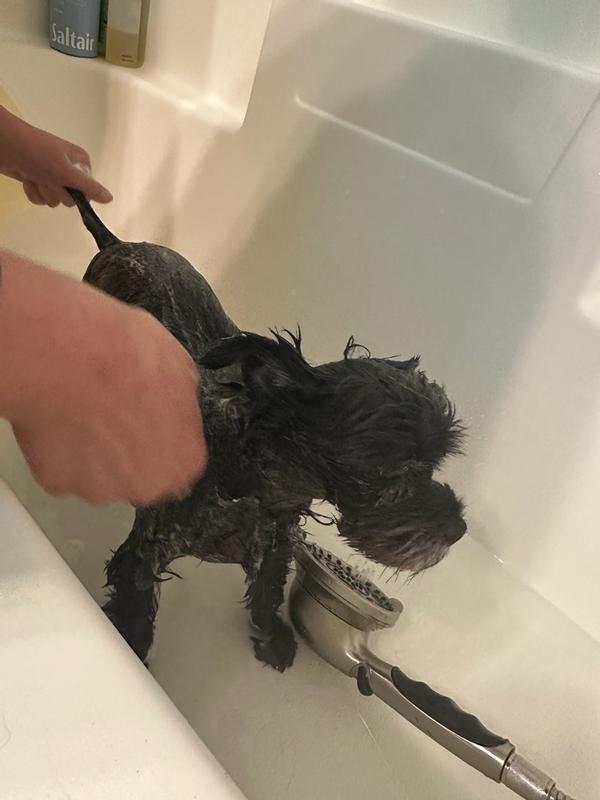 Review Thumbnail Image 2 351445254