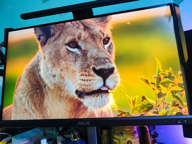 Buy ProArt Display PA279CV Monitor | Monitors | Displays-Desktops