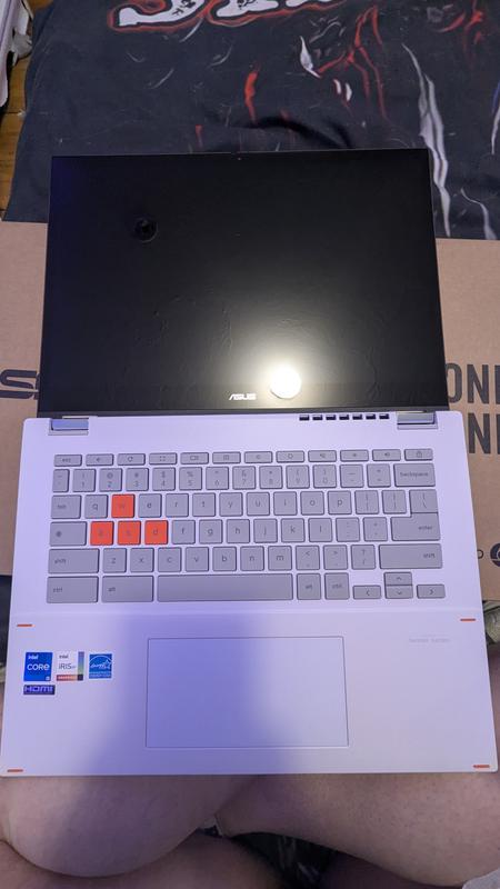 Buy ASUS Chromebook Vibe CX34 Flip (CX3401, 12th Gen Intel) Laptop