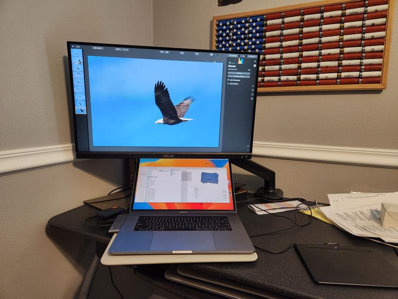 Buy ProArt Display PA279CV | Monitors | Displays-Desktops | ASUS