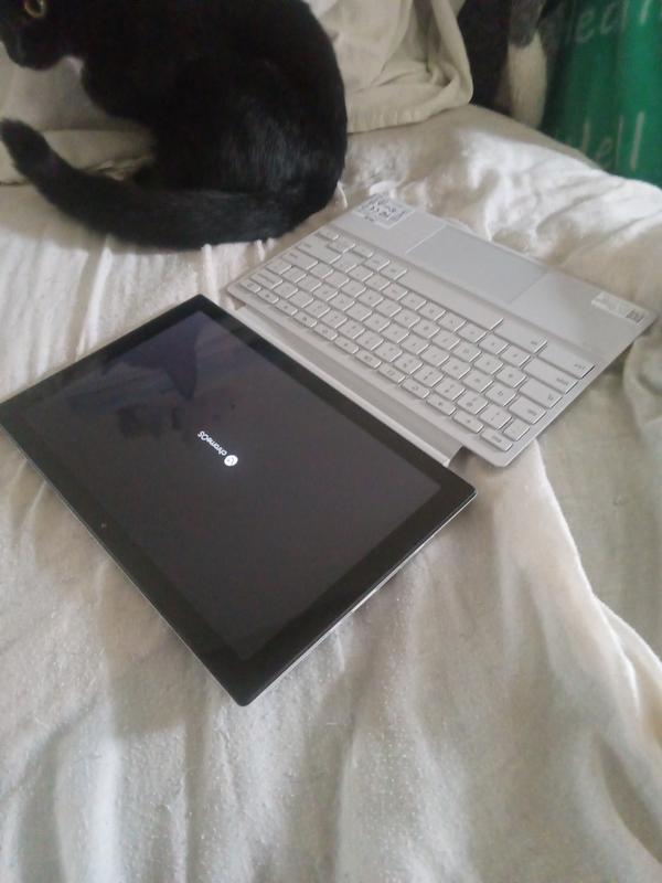 タブレット chromebook - ASUS Chromebook CM30Detachable CM3001LTE ASUS Chromebook Enterprise CM30 Detachable (CM3001)｜Laptops