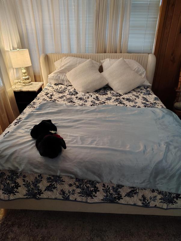 Review Thumbnail Image 0 335046088