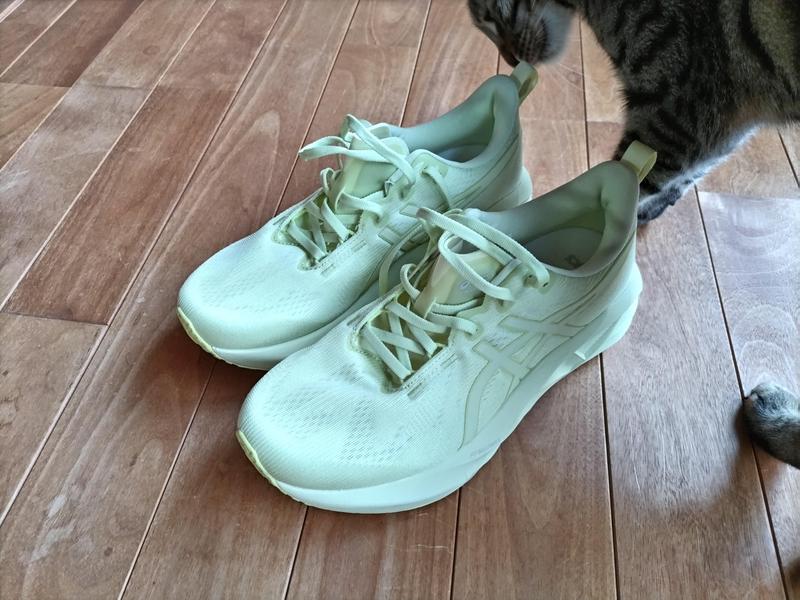 asicsランニングシューズ NOVABLAST5 ASICS アシックス（ASICS）（メンズ）ランニングシューズ