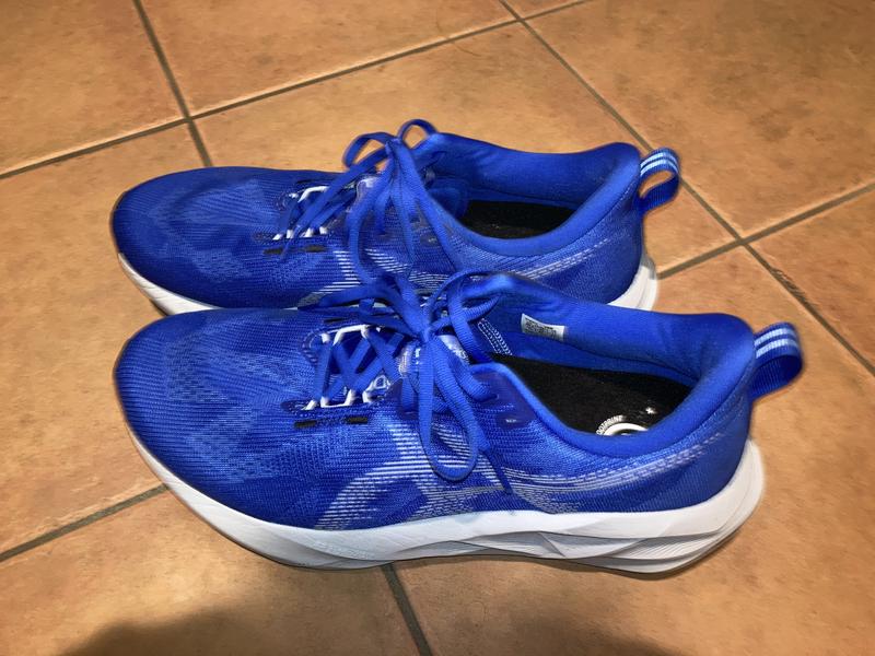 アシックス ノヴァブラスト5 25.5 ASICS NOVABLAST 5 アシックス ノヴァブラスト 5 asics NOVABLAST 5 1011B974-250
