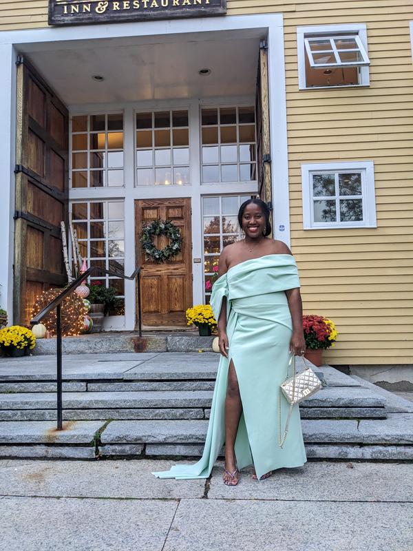 sage green one shoulder maxi dress Petal and Pup Women's Pontee One Shoulder Pleated Midi Dress