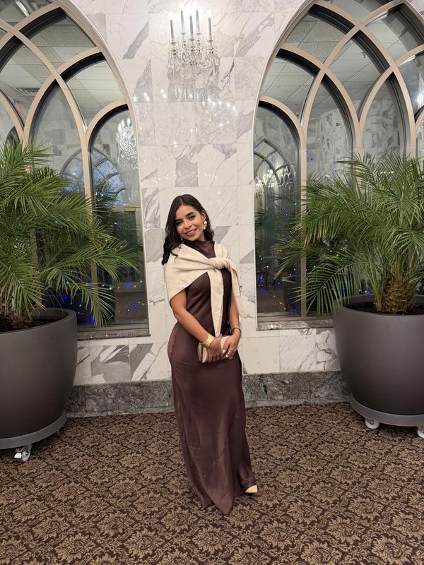 princess polly baby blue dress The most gorgeous brown satin silk maxi night gown