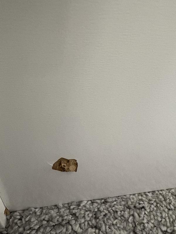 User generated review image 3