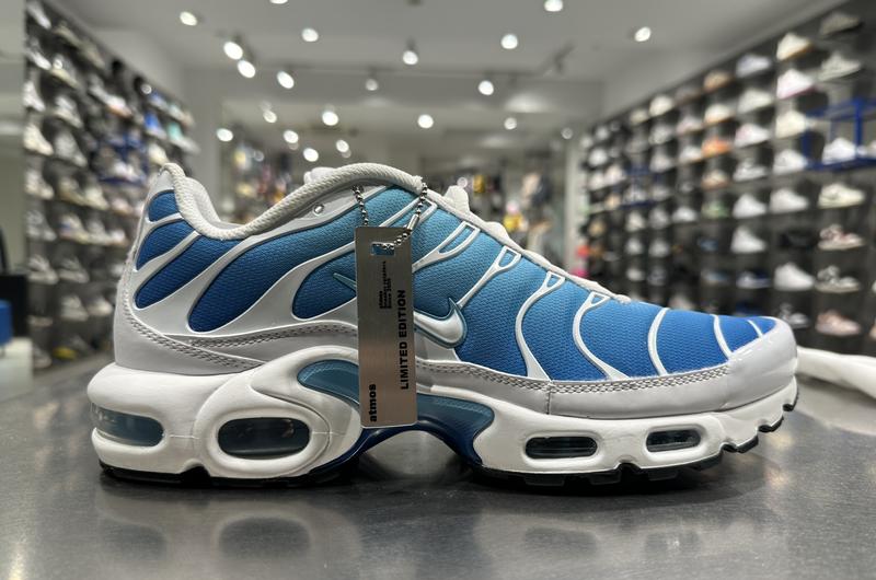 Nike air max plus battle blue on sale