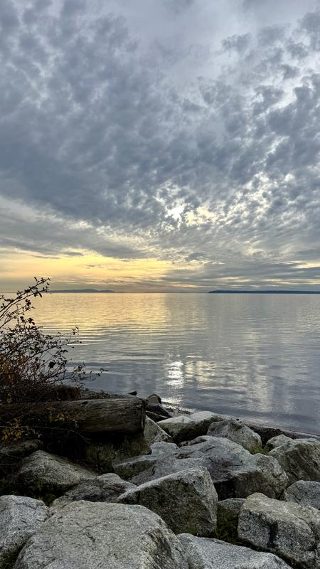 Review Thumbnail Image 4 333499692