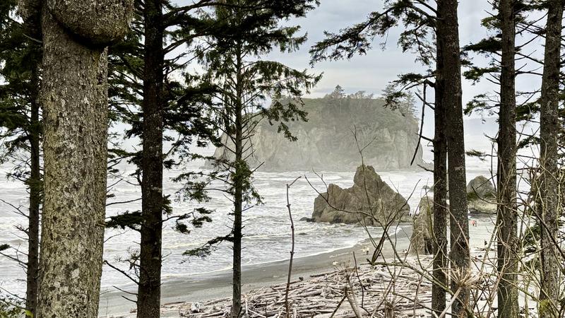 Review Thumbnail Image 5 333499692