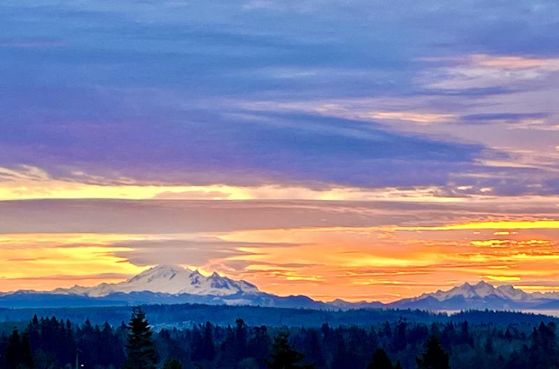 Review Thumbnail Image 0 333499692