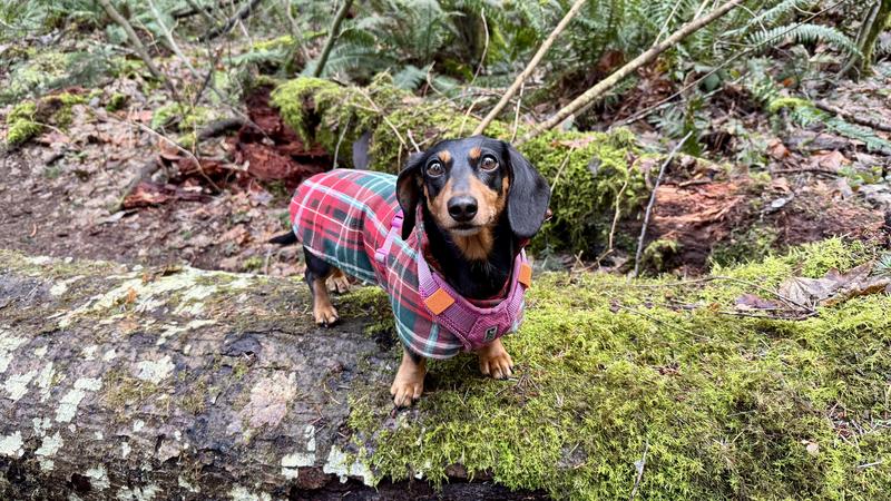 Review Thumbnail Image 1 333499692