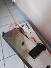 Photo envoyée par l'utilisateur