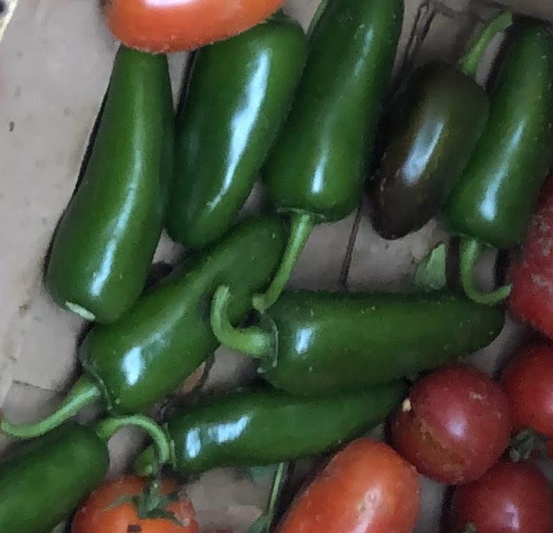 A quick pick of Coolapenos