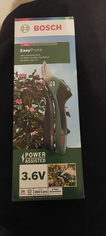 Revisione aperta modale 1 su 3