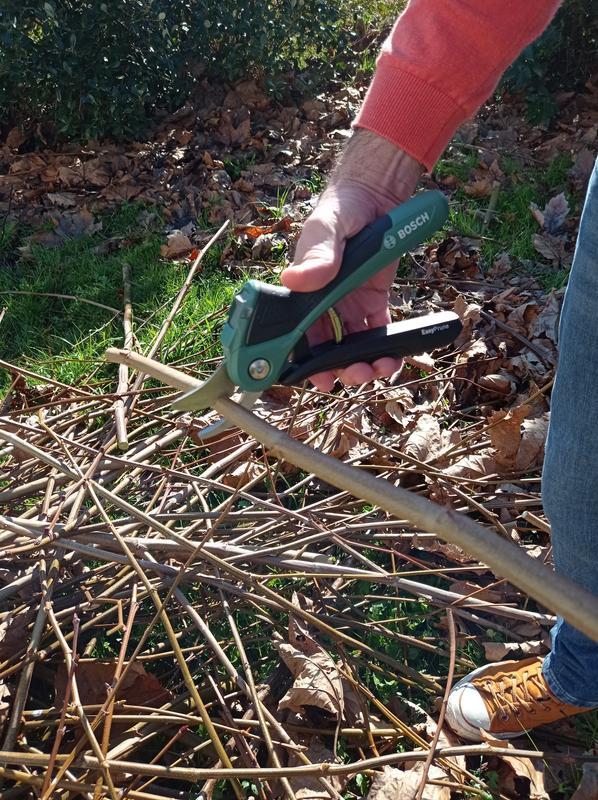 Revisione aperta modale 5 su 6