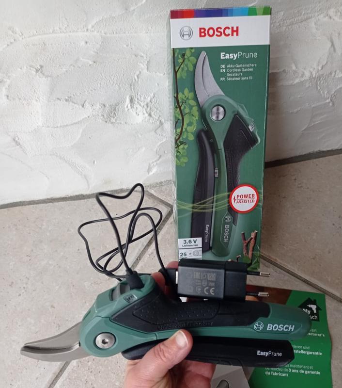 Revisione aperta modale 2 su 6