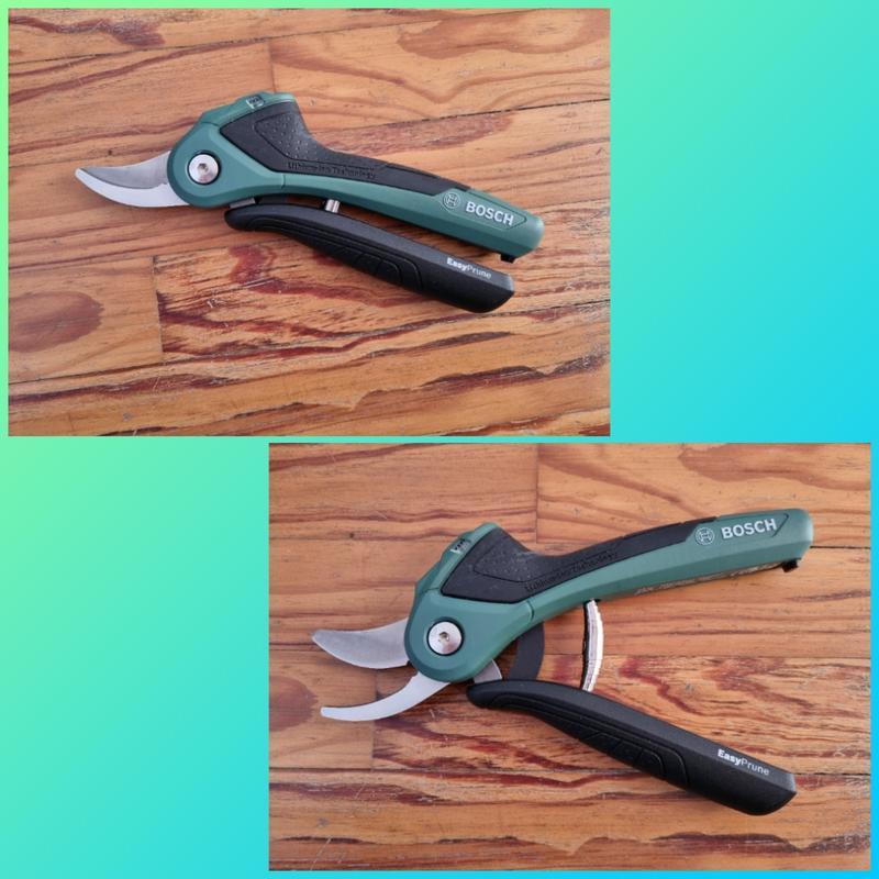 Revisione aperta modale 1 su 1