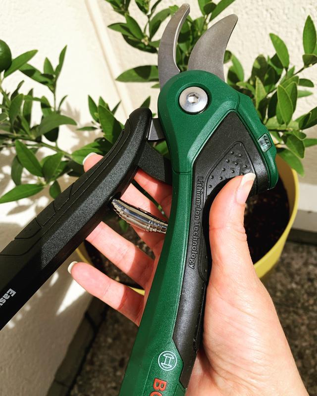 Revisione aperta modale 1 su 1