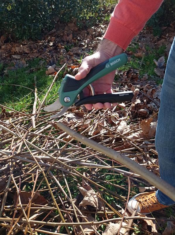 Revisione aperta modale 6 su 6