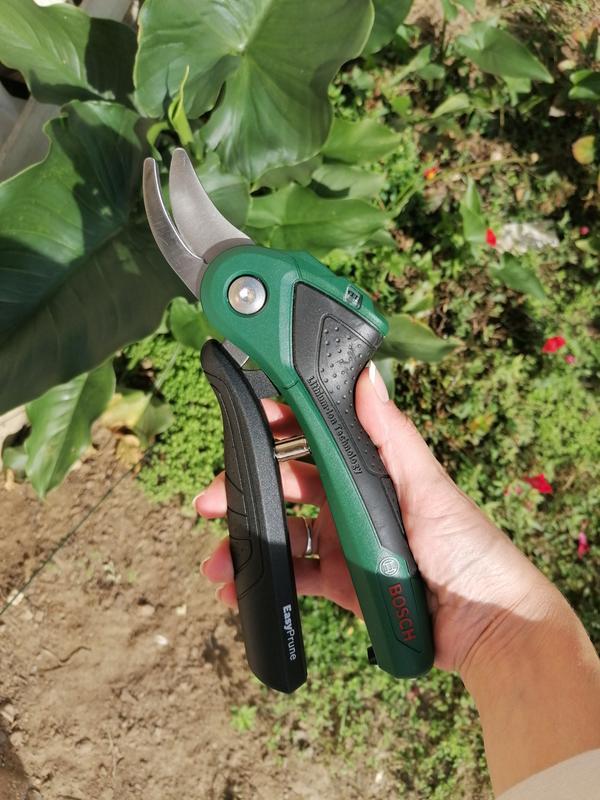 Revisione aperta modale 1 su 1