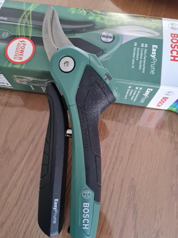 Revisione aperta modale 2 su 2